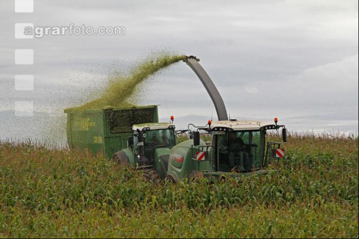 Maisernte Silage J 7