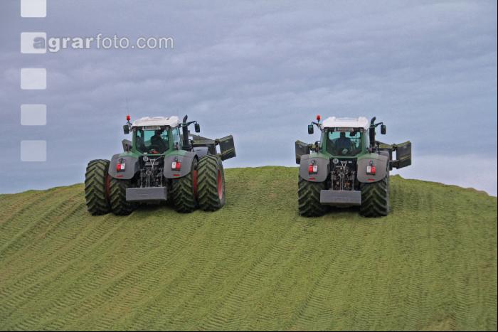 Maisernte Silage J 17