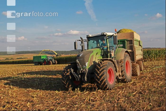 Maisernte Silage J 3