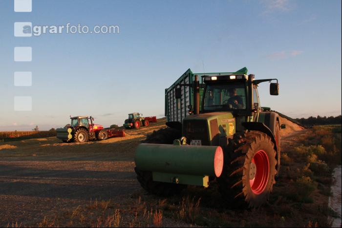 Maisernte Silage J 7