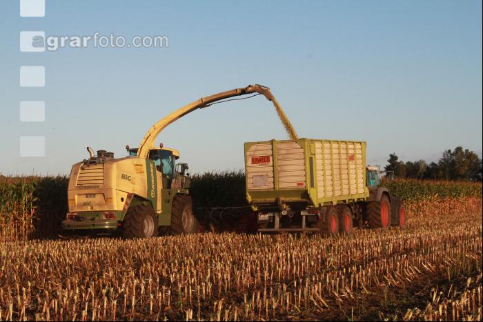 Maisernte Silage J 1