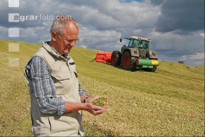 Maisernte Landwirt J 12