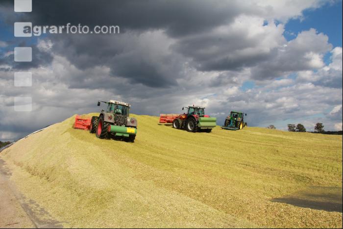 Maisernte Silage J 26