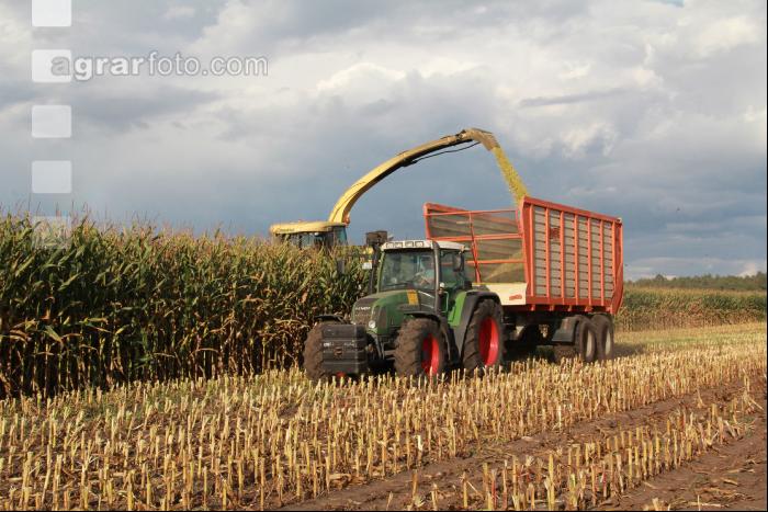 Maisernte Silage J 12