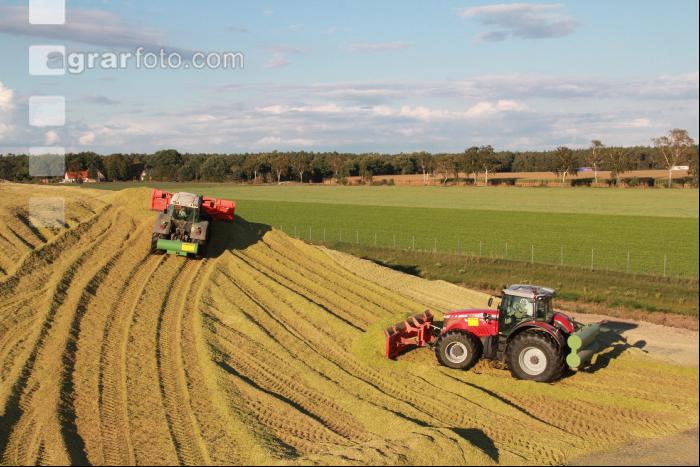 Maisernte Silage J 34