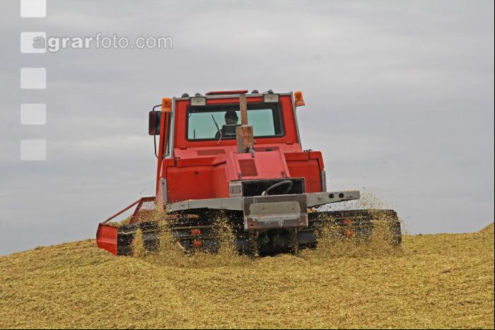 Maisernte Silage J 32