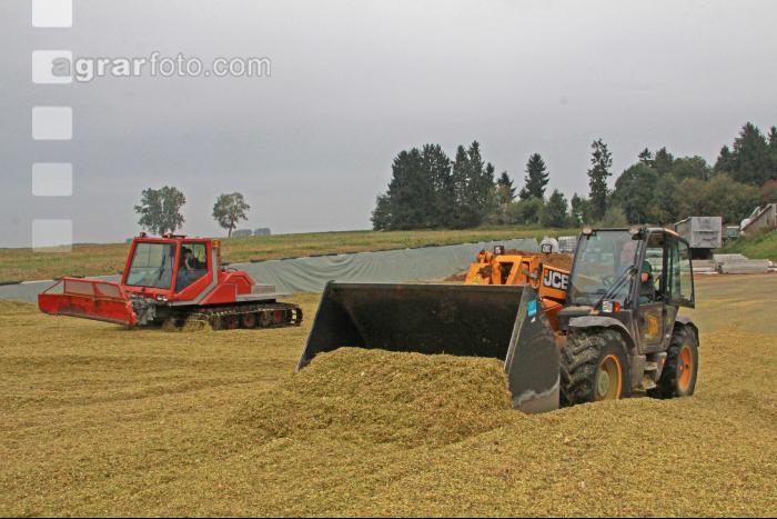 Maisernte Silage J 30