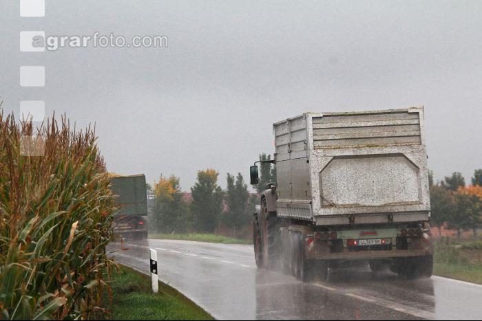 Maisernte Silage J 28