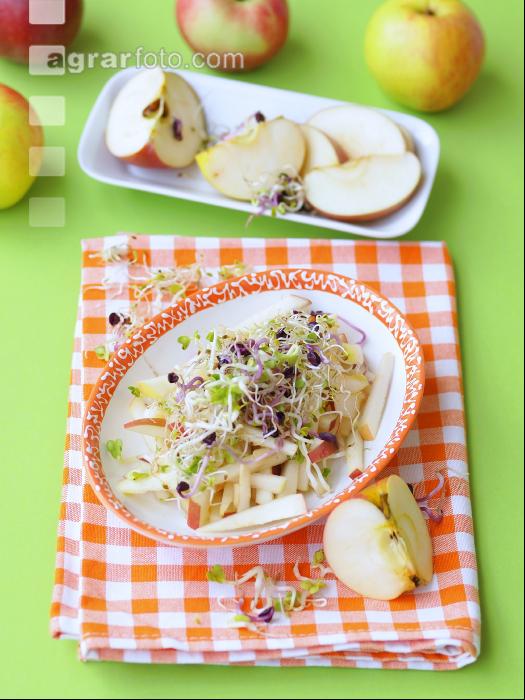 Salat mit Sprossen 3