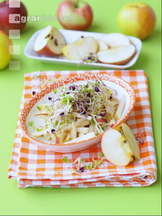 Salat mit Sprossen 2