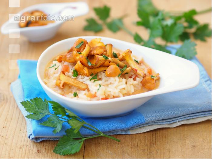 Risotto mit Eierschwammerl 3
