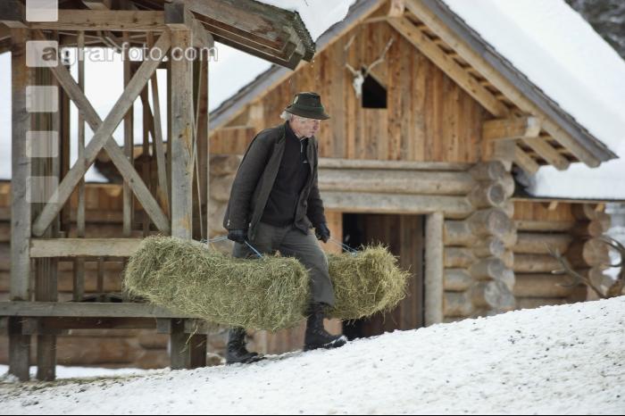 Wildfütterung 3