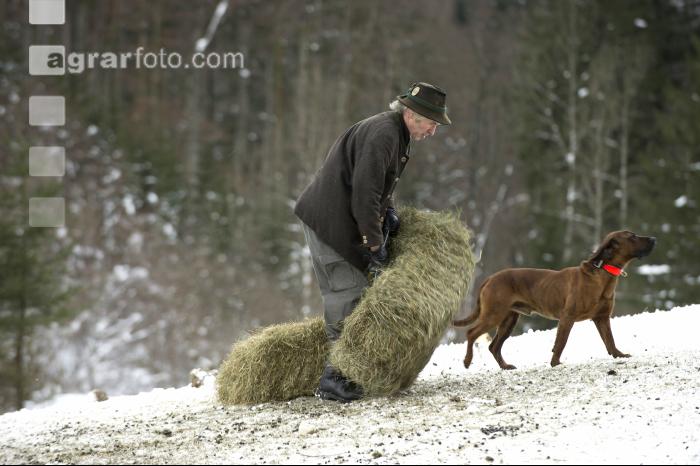 Wildfütterung 2