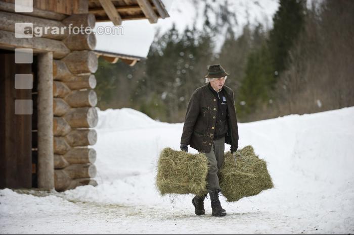 Wildfütterung 1