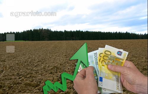 Bodenpreise 7