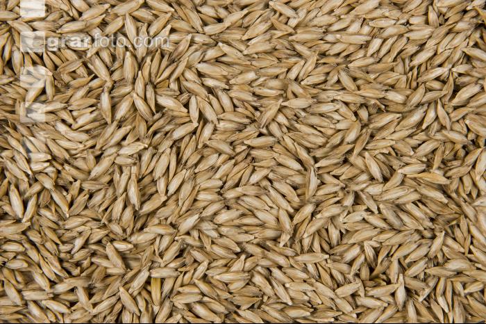 Einkorn 5
