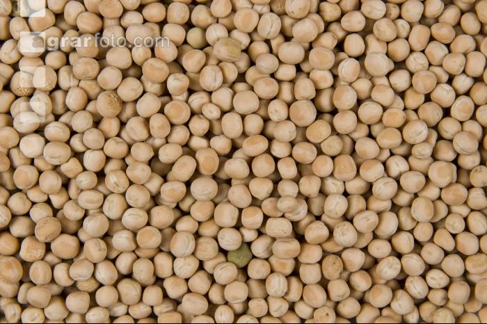 Erbsen 3