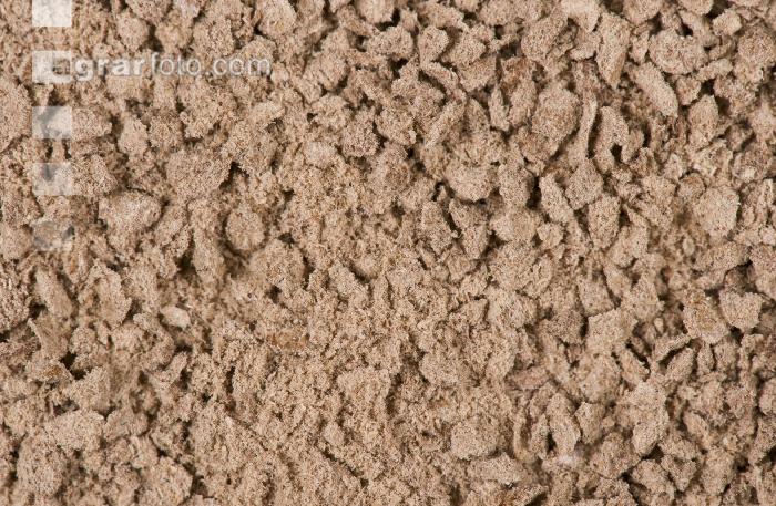 L Cellulose 1