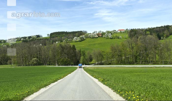Milchabholung 65