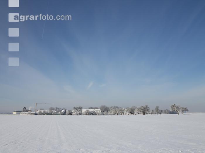 winterimpressionen 4