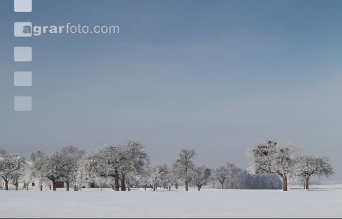 winterimpressionen 5