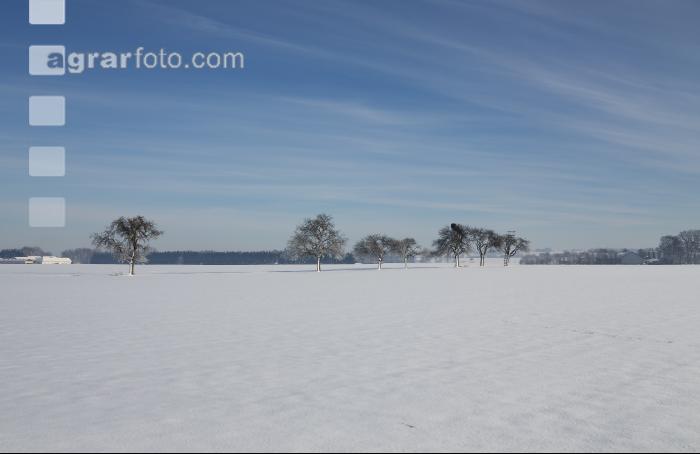 winterimpressionen 8