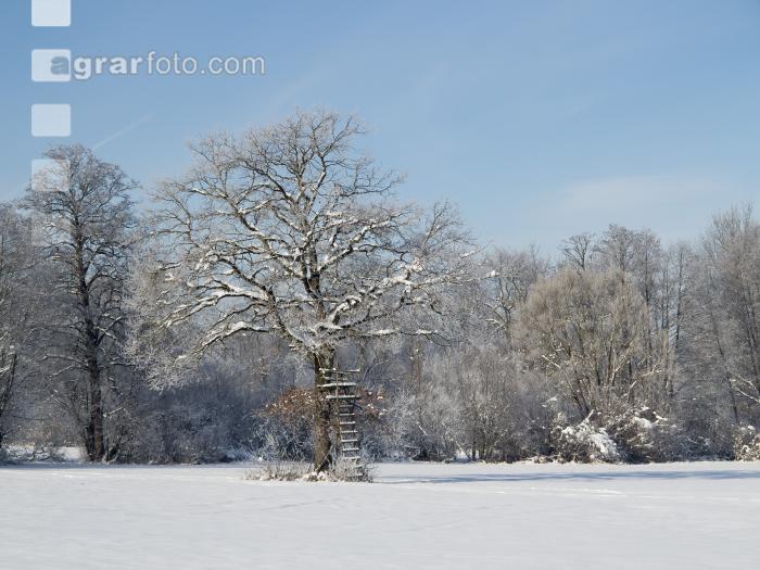 winterimpressionen 9
