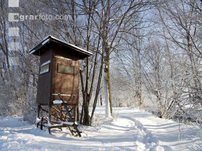 winterimpressionen 10