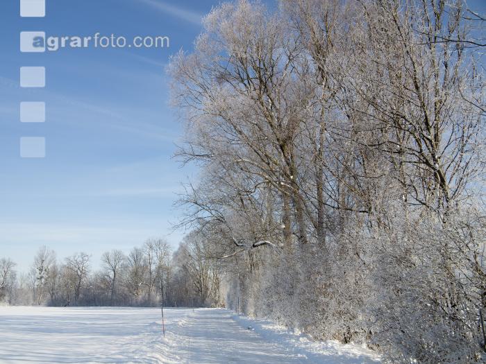 winterimpressionen 11