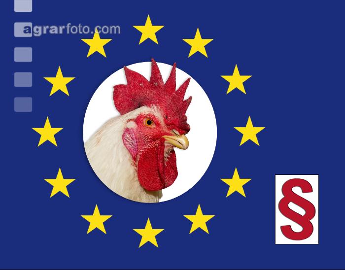 EU Gesetz Hähne