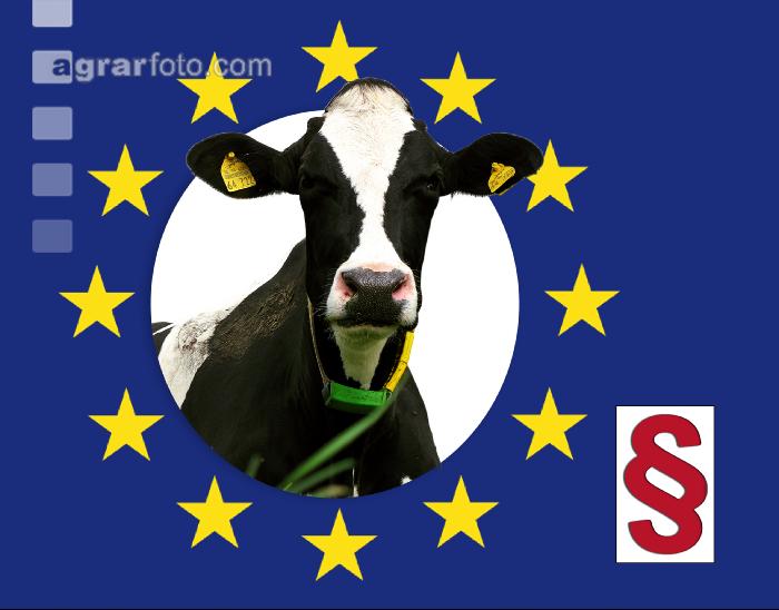 EU Gesetz Rinder