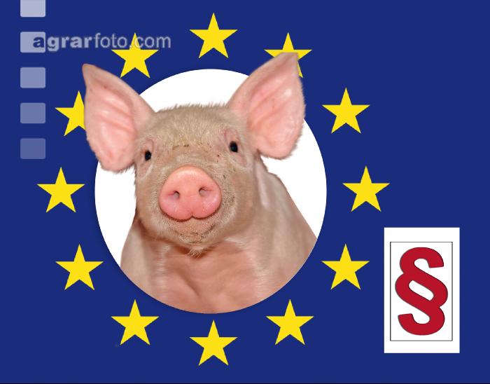 EU Gesetz Schweine