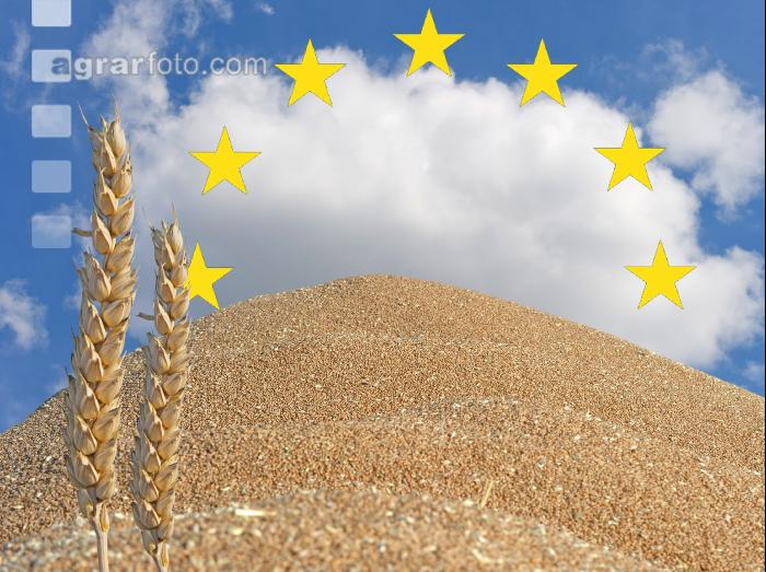 EU und Weizenberg