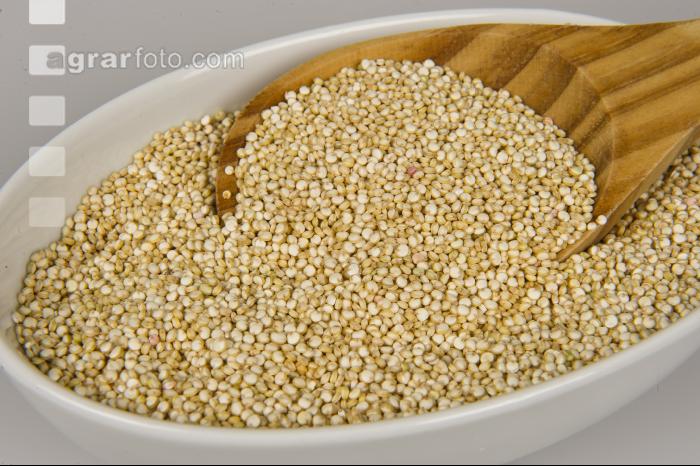 Quinoa 2