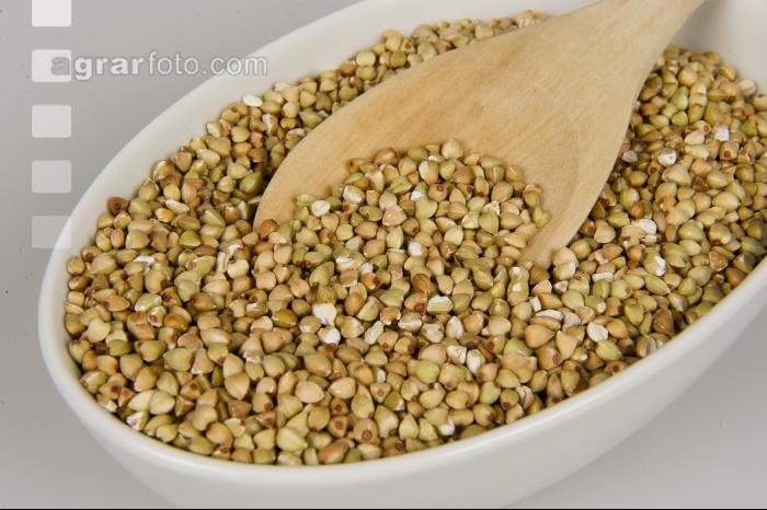 Quinoa 4