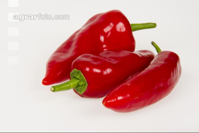 Paprika 14