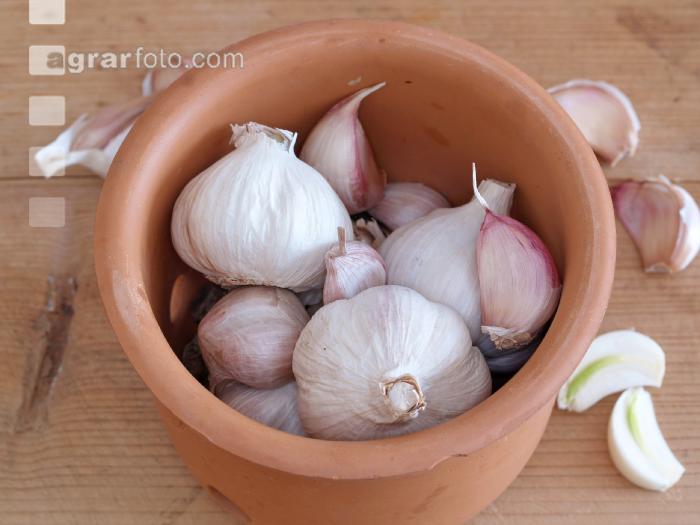 Knoblauch 9