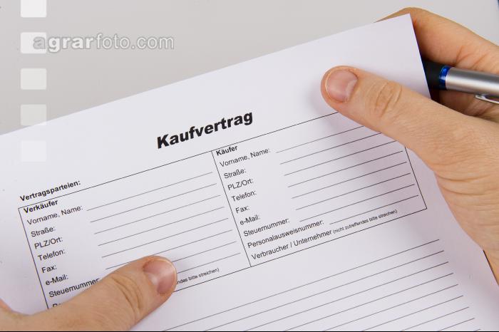 Kaufvertrag 10
