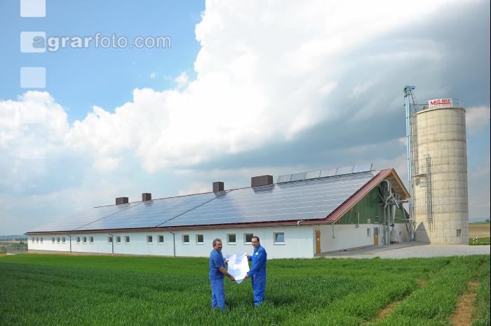 Bauplan Schweinestall 12