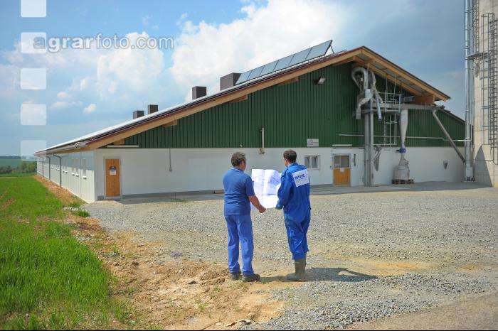 Bauplan Schweinestall 5