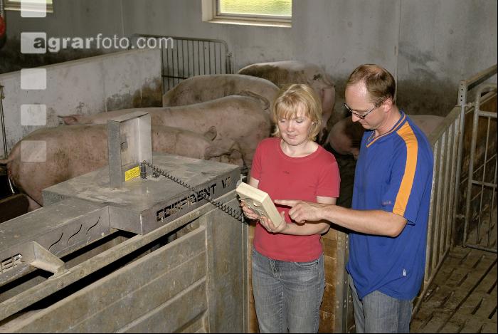 Sauen Aufzeichnung 17