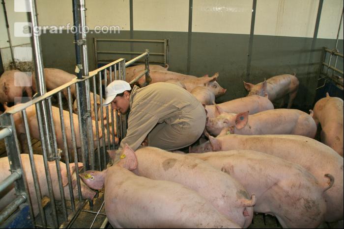 Tierhaltungslehrgang J 18