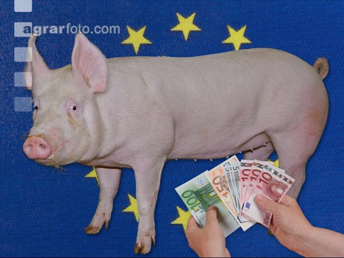 Schweinepreis 4