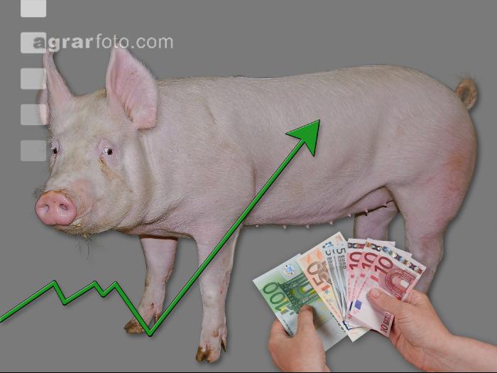 Schweinepreis 2