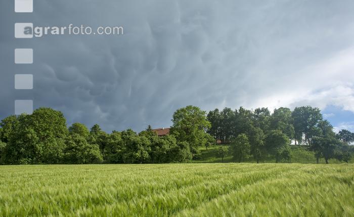 Gewitter kommt 7