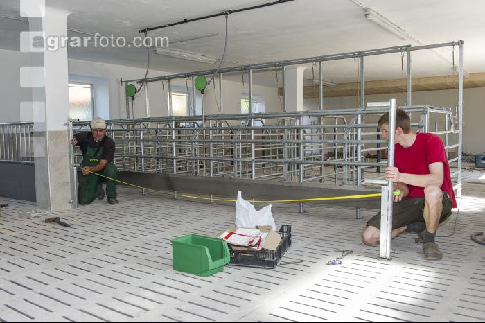 Zuchtschweinestall Bau 5
