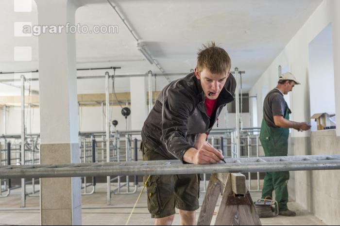 Zuchtschweinestall Bau 8