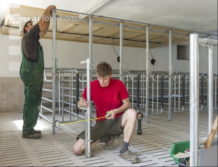 Zuchtschweinestall Bau 14