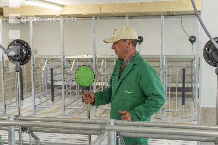 Zuchtschweinestall Bau 20