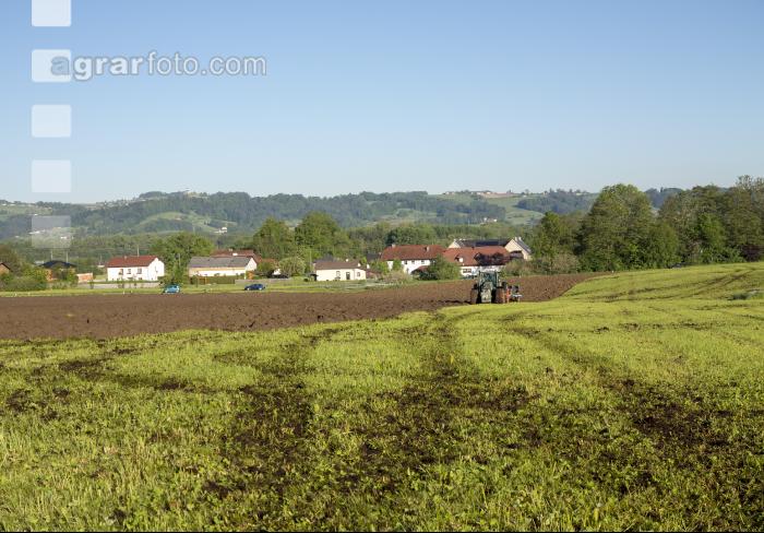Grünlandumbruch 5